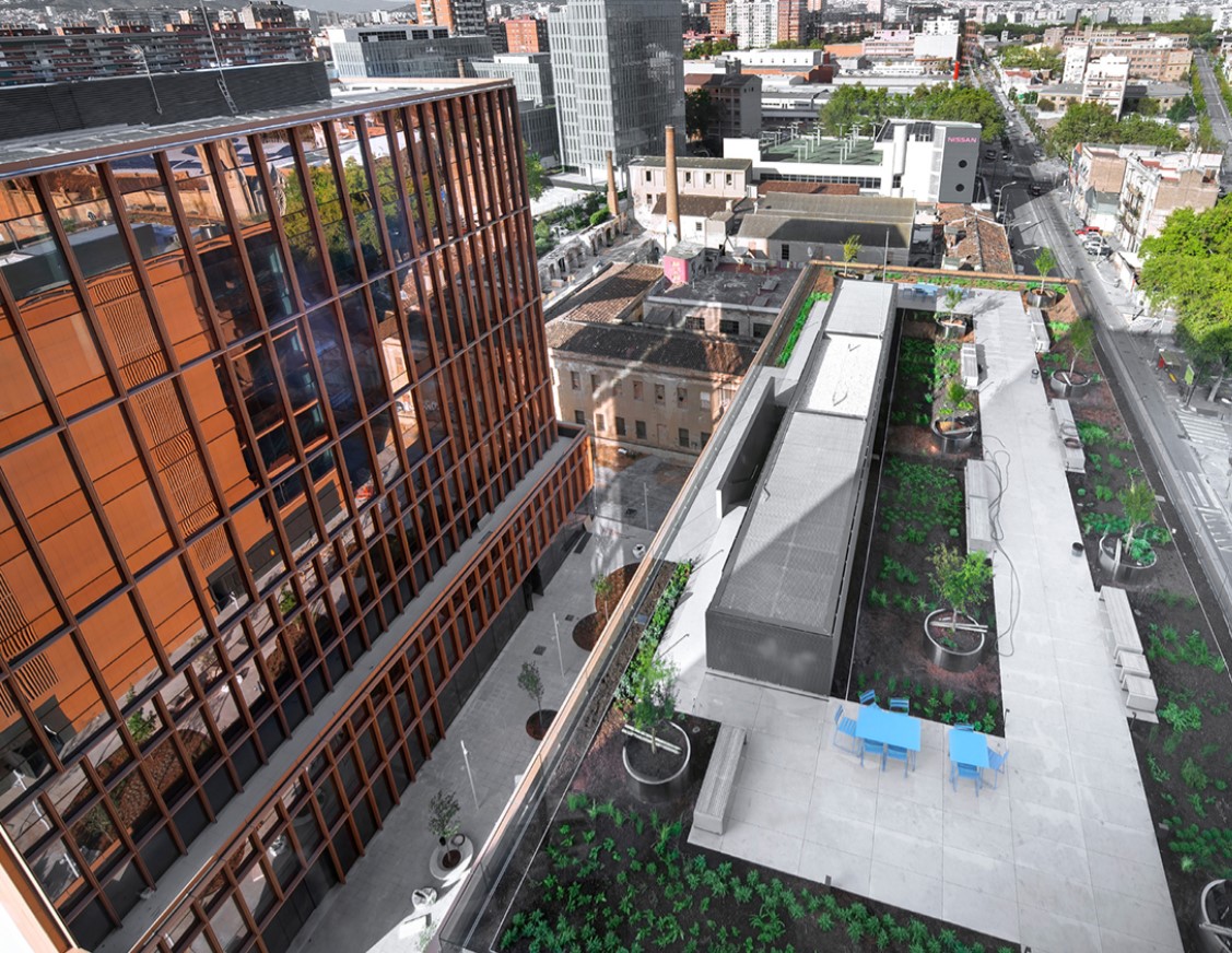 Vista desde arriba del edificio