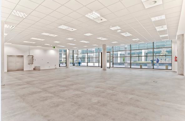 Interior espacio de oficinas 6