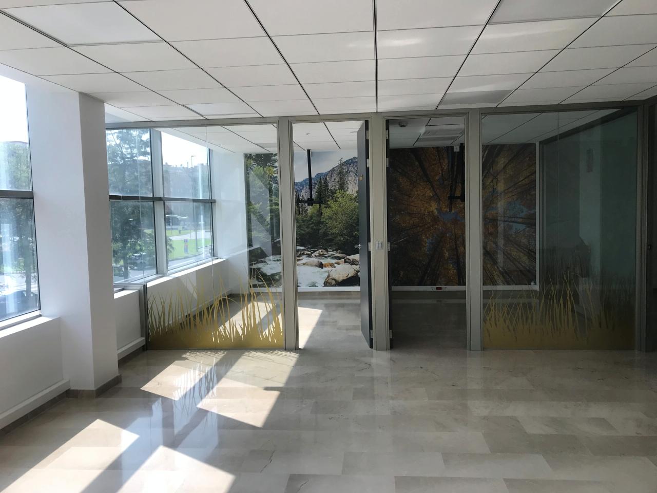 Oficinas en Rey Juan Carlos I interior